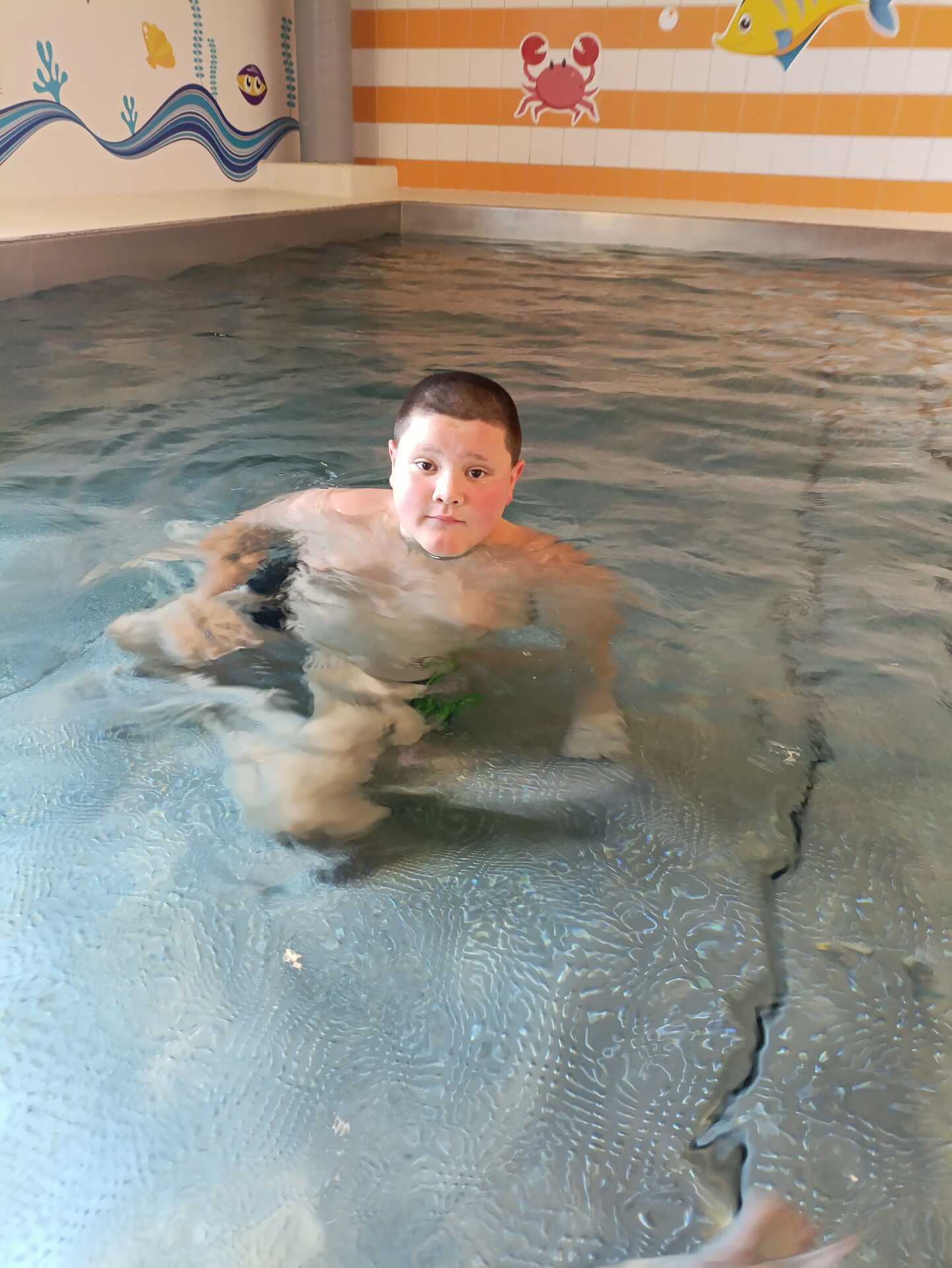 plavání