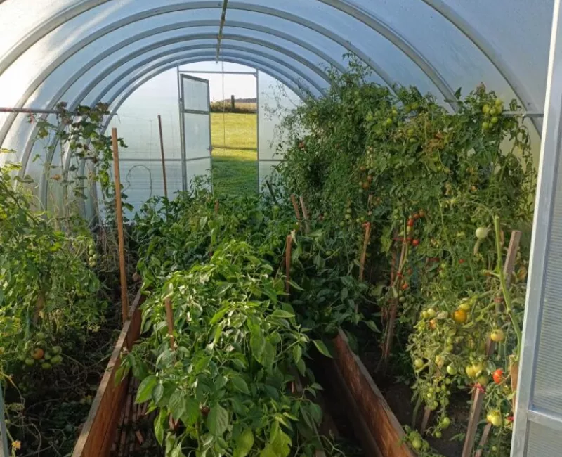 Foukej, foukej …10