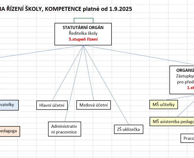 organizační struktura 