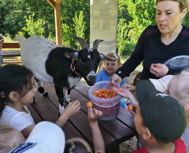 TŘÍDNÍ VÝLET ZA ZVÍŘÁTKY